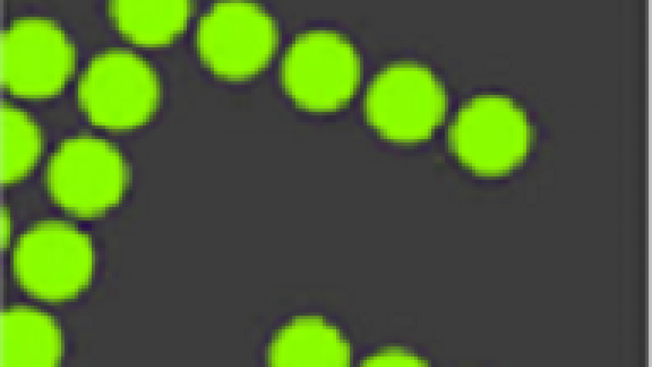 Decorative image.
