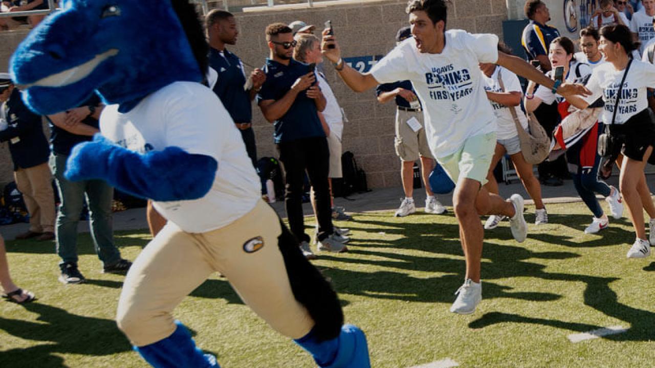 UC Davis Mascot Gunrock leads a group of first-years out onto the football team at halftime in a traditional event called the "Running of the First-years"