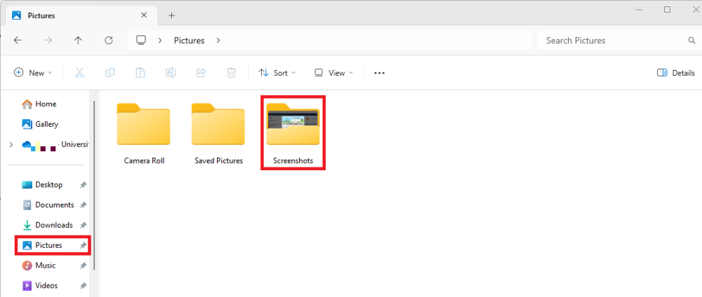 Windows File Explorer