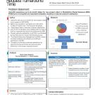 project summary image