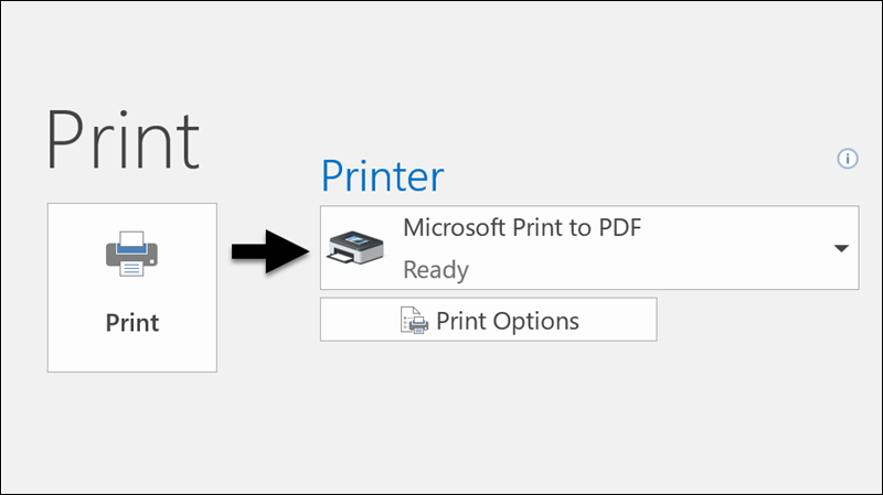 MS Print to PDF